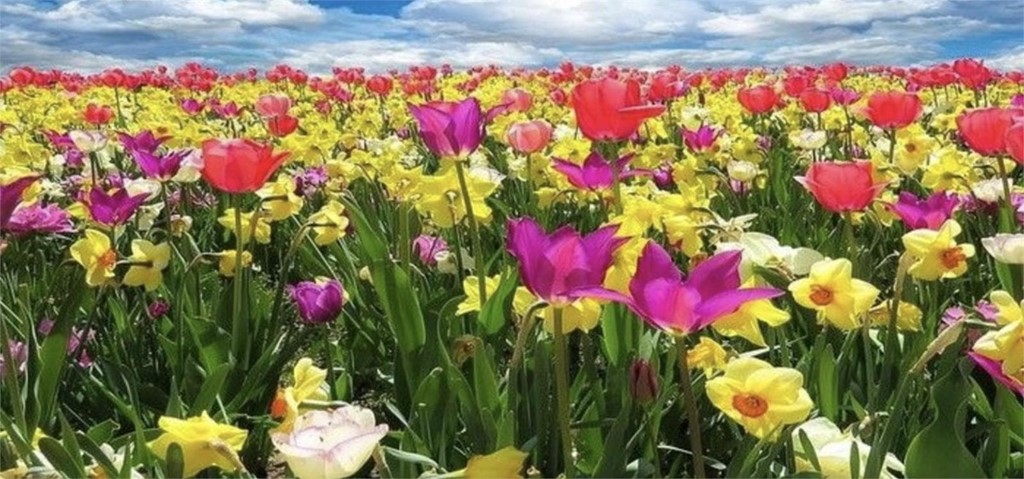 ¿Por qué nos afecta la primavera a la estabilidad emocional?