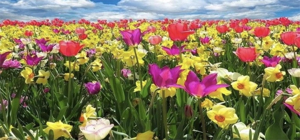 ¿Por qué nos afecta la primavera a la estabilidad emocional?